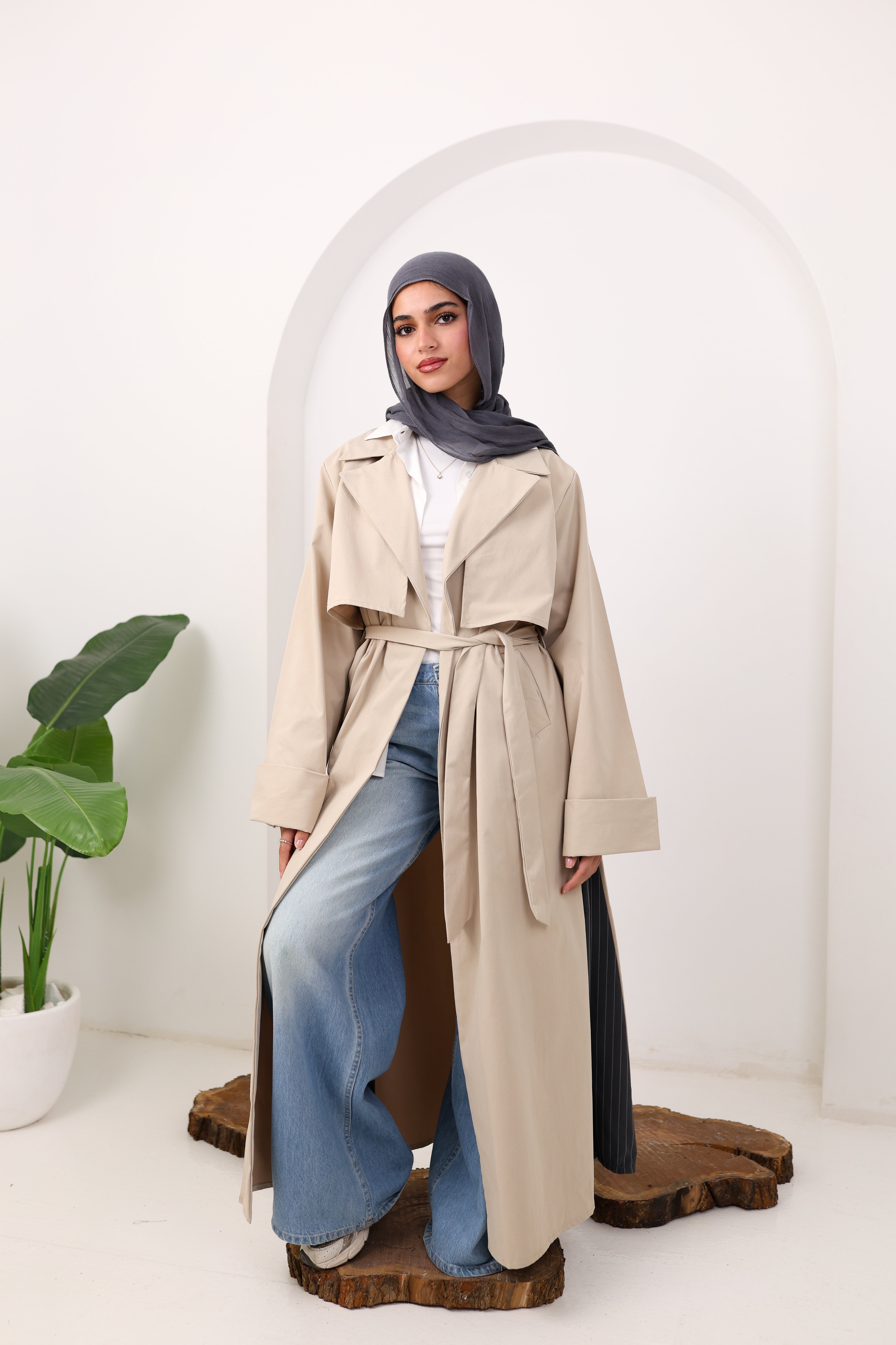 Desert Calm trench Coat