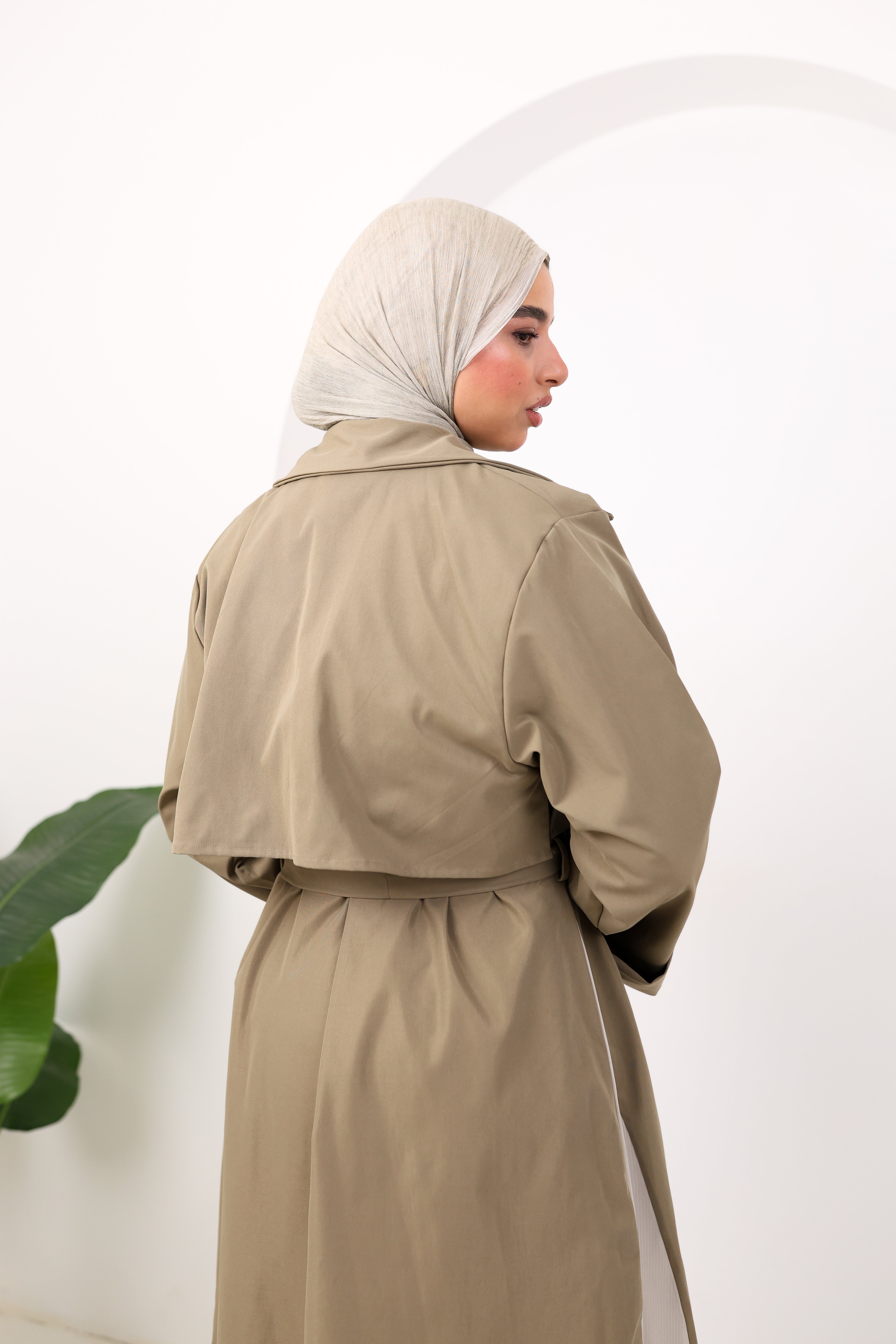 Olive of still moments